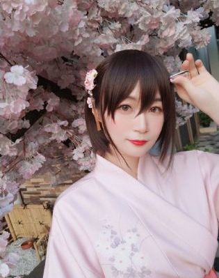 电视剧雪豹全集免费播放_1080P免费观看